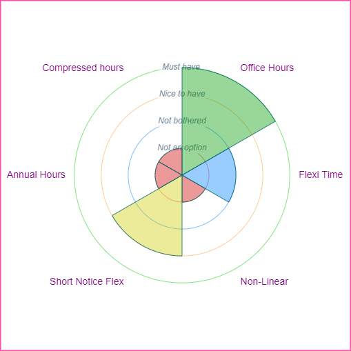 Thumbnail Image of a a radar chart showing which types of flexible working Kim specified.